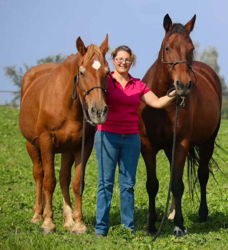 fohlenweide-bodensee-luthi.1.64b650e3ac88c